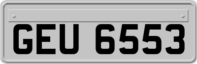 GEU6553