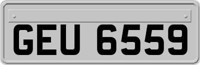 GEU6559