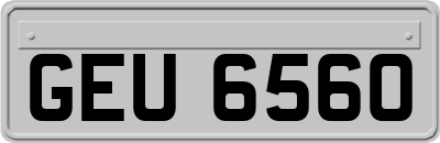 GEU6560