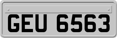 GEU6563