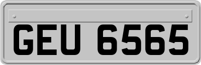 GEU6565