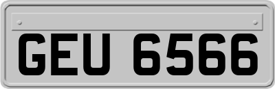 GEU6566