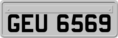 GEU6569