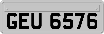 GEU6576