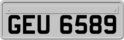 GEU6589