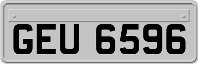 GEU6596