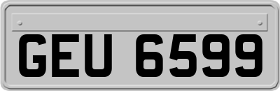 GEU6599