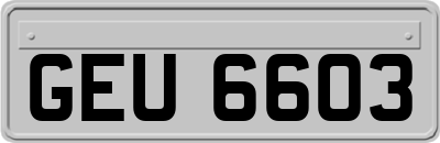 GEU6603