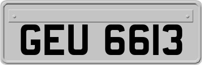 GEU6613