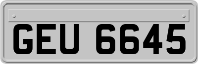 GEU6645