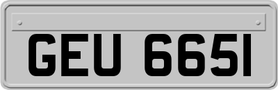 GEU6651