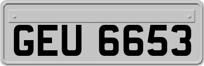 GEU6653