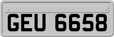 GEU6658