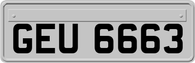 GEU6663
