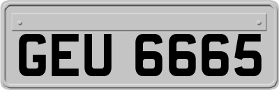 GEU6665