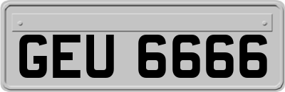GEU6666