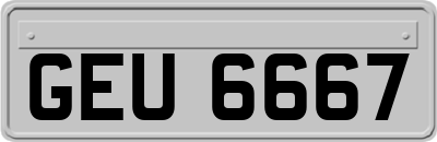 GEU6667