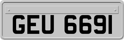 GEU6691