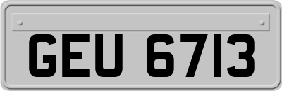 GEU6713
