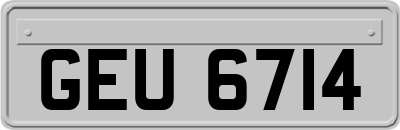 GEU6714