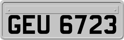 GEU6723