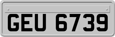 GEU6739