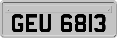 GEU6813