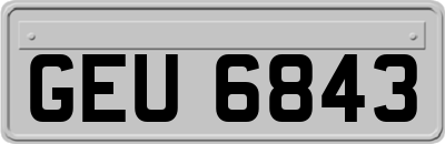 GEU6843