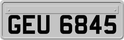 GEU6845