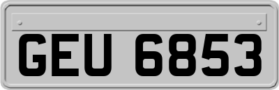 GEU6853