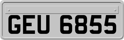 GEU6855