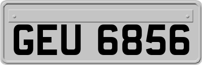 GEU6856