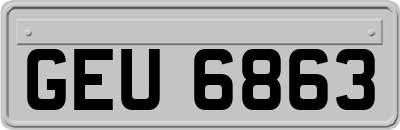 GEU6863