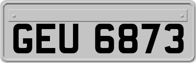 GEU6873