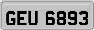 GEU6893