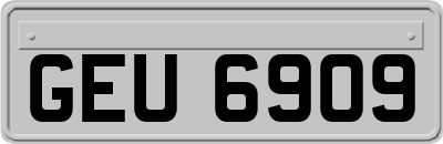 GEU6909
