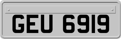 GEU6919