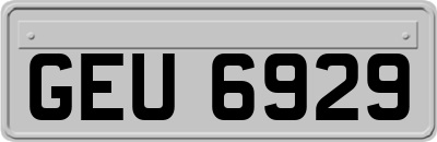 GEU6929