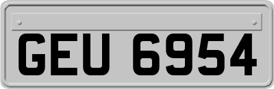 GEU6954
