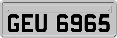 GEU6965