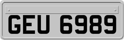 GEU6989