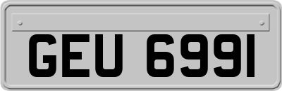 GEU6991