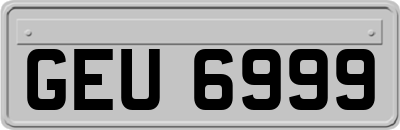 GEU6999