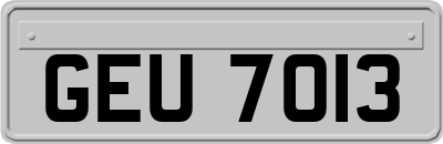 GEU7013