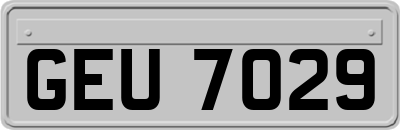 GEU7029