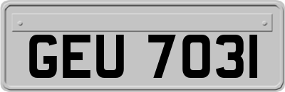 GEU7031