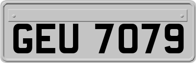 GEU7079