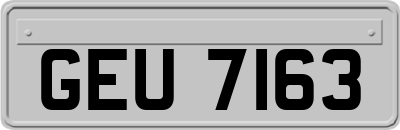 GEU7163