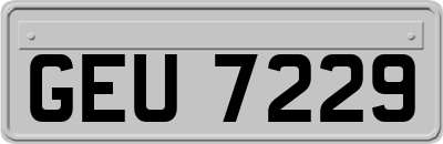 GEU7229