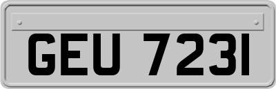 GEU7231